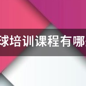 青少年篮球技术训练内容是什么意思